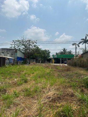 bán đất 2500m2 tại dương công khi, tân hiệp, hóc môn, giá cực chất 56 tỷ