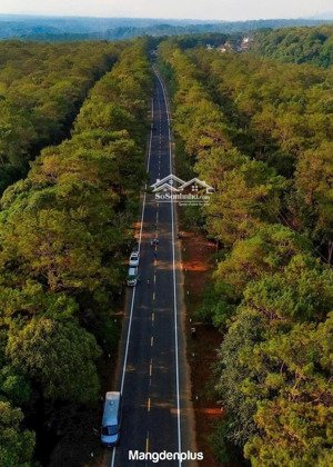 bán đất 121,42m2, 2,8 tỷ tại võ thị sáu, măng đen, kon plông, kon tum đẹp, nhiều tiện ích