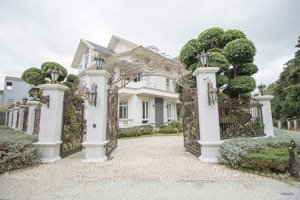 bán villa 2 mặt tiền khu vực đinh tiên hoàng phường 2 cạnh mảnh xanh đồi cù đà lạt 794m2 giá 125 tỷ