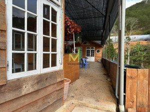 cho thuê đất 1000m2 có view rừng thông và suối tại thành phố đà lạt