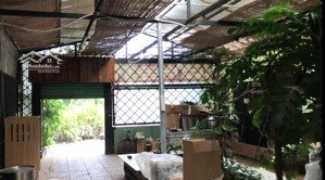 siêu rẻ cho thuê nguyên căn làm kho, kinh doanh hay ở đều được