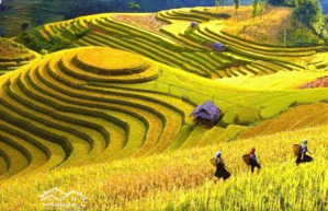 đất đấu giá thị xã nghĩa lộ yên bái 120m mặt tiền 6m đường rộng 13m giá đầu tư cực sốc