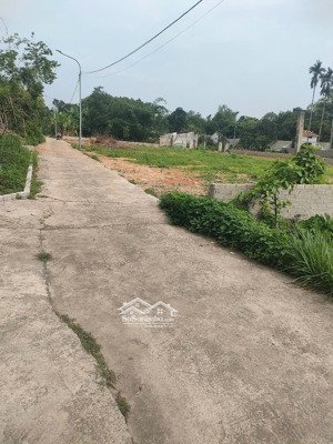 siêu phẩm đất vườn cổ đông, sơn tây, hn, giá chỉ nhỉnh 4 triệu/m2