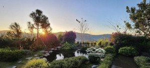 giảm ngay 200tr khách thiện chí, bán căn nhà 500m2 có sân vườn view rừng thông , săn mây trung tâm