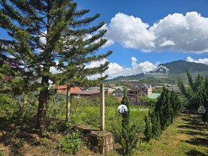 thị trấn lạc dương 482m2 srxd ngang 16m vuông vắn, view đẹp, đường nhựa xe hơi tránh 7 tỷ