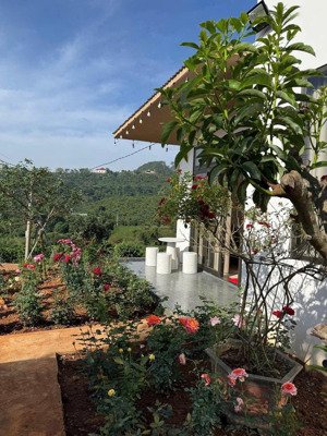 bán căn nhà nghỉ dưỡng xin xắn 992 view đẹp nhất nhì bảo lộc, đường đi thuận tiện.