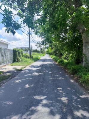 515m2 NHÀ VÀ ĐẤT THỔ CƯ MT ĐƯỜNG TÂN LONG GIÁ TỐT XÃ TÂN NHỰT