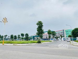 bán nhanh lô liền kề bắc đầm vạc đối diện trường newton. lh 0865566675