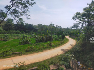 chính chủ bán lô đất thổ cư giá mềm