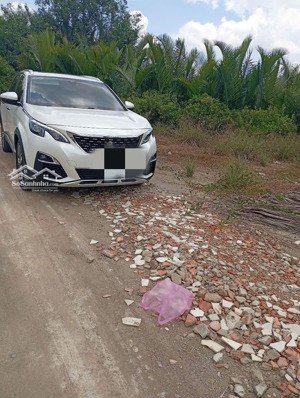 bán 3100m làm, khu nghỉ dưỡng tại đường bà xán, xã bình khánh, cần giờ, hồ chí minh, 12 tỷ, 3100 m