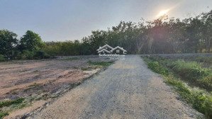 bán lô đất 270tr cách nhựa 300m, trung tâm xã lộc ninh, dương minh châu liên hệ: 0763 914 309