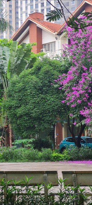 liền kề 77m2 view vườn hoa làng việt kiều châu âu mỗ lao, hà đông
