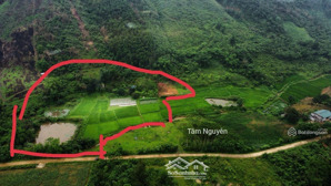 lô đất làm trang trại, nhà vườn quá đẹp
10.000 m2 đất cây hàng năm quy hoạch thổ cư, bám suối