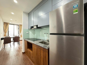 mở bán chung cư mới tại giang văn minh - đội cấn - ngọc hà 1-2p ngủ ( 33 - 45 - 54m2 ) - sổ đỏ