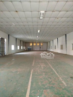 cho thuê kho cạnh đầm sen - diện tích kho 250m2 - đường lũy bán bích - pccc đầy đủ