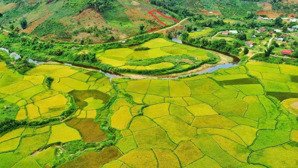bán trang trại, khu nghỉ dưỡng ở quốc lộ 24, măng đen, kon plông, kon tum, 1,8 tỷ, 3000 m2