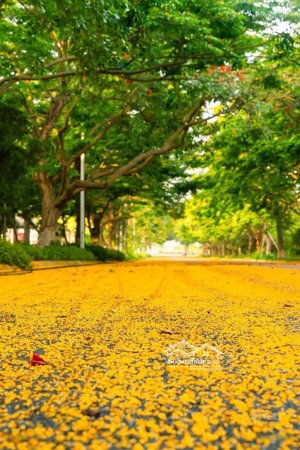 bán nhanh nhà phố thủy nguyên 2 mặt tiền kinh doanh tốt, nhà hoàn thiện full nội thất