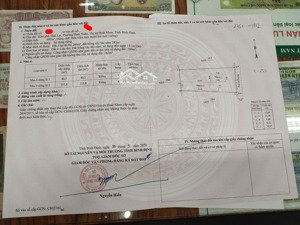 bán nhà riêng tại xã hoài xuân, hoài nhơn, bình định giá cực chất 1,9 tỷ, 482m2