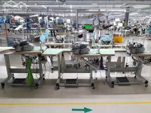 Cho thuê xưởng may gần 39.000m² đất có 19.000m² kho nhà xưởng, văn phòng làm việc,.. Tại Quảng Nam.
