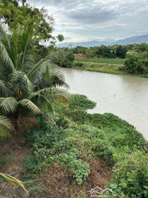290 triệu bán gấp 1.776m đất nông nghiệp mặt sông, đường ô tô đến đất