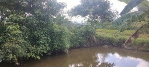 chính chủ bán đất thổ cư tại xã tú lý, đà bắc.