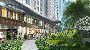 sun costa residence: căn hộ ven biển đẳng cấp - sinh lời bền vững tại đà nẵng - đang 1000 booking