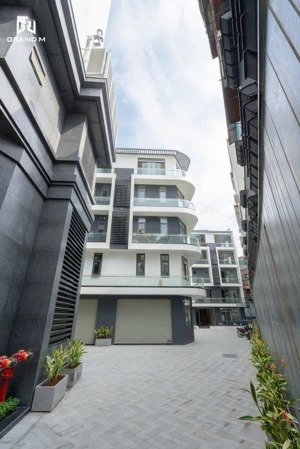 bán biệt thự song lập phố nguyên hồng dt 113m2 x 5 tầng, mt 10m. giá 55,5 tỷ
