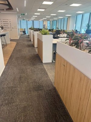 cho thuê văn phòng tại sunrise riverside, 9 triệu vnd, 49 m2, giá ưu đãi, chính chủ