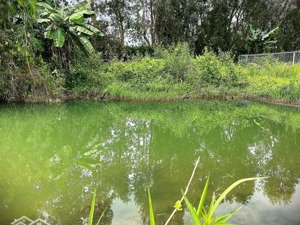 đất nền giá siêu rẻ - có ngân hàng hỗ trợ vay