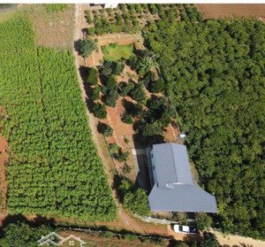 bán căn nhà vườn 2 mặt tiền cực đẹp 1.774m2 ngay gần sân bay liên khương, gần quốc lộ 27