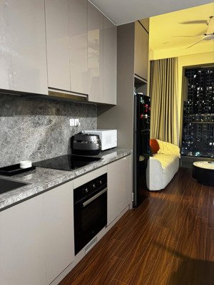 cho thuê cc 2pn, 65m2, 11 triệu tại masteri water front, gia lâm, hn hàng hiếm đẹp, nhiều tiện ích