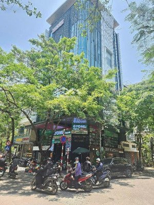 lô góc nguy nga lừng lững quận đống đa- mặt tiền 20m quyền uy- 10 tầng!