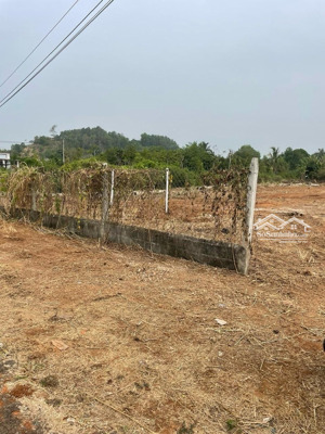 bán 4,3 sào ,mặt tiền nhựa xuân tân hàng gòn ,giá đầu tư thời điểm hiện tại