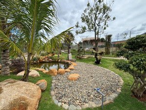 bán đất view rừng thông xinh 1000m2 tại quốc lộ 27 cách sân nay liên khương 6km giá 2,9 triệu/m2