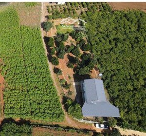 bán đất tặng nhà xinh có vườn nghỉ dưỡng cách sân bay liên khương chỉ 4km giá chỉ 1,9 triệu/m2
