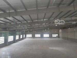 bán gấp xưởng 1000m² đức hòa đông thổ cư 100%, gần kcn, giá 13 tỷ