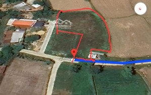 cho thuê đất diện tích 3 xào: 1600m2 .ở nghĩa dõng, quảng ngãi đẹp, tiện ích