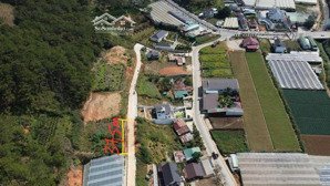 bán nhanh 953m2 đất srxd (thực tế sử dụng 2000m2) tl phường langbiang-đà lạt, giáp rừng thông 13 tỷ