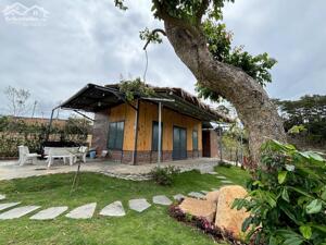Đất gần sân bay Liên Khương Lâm Đồng view rừng thông giá chỉ 2,9 tỷ có nhà xinh, sổ sẵn