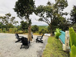 cần ra gấp căn nhà vườn 1200m2 nội thất đầy đủ 2pn dọn vào ở ngay, sân vườn trồng sẵn sầu riêng