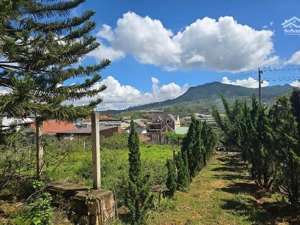 bán nhanh đất 482m2 srxd ngang 16m view thoáng đẹp giá rẻ 7 tỷ trung tâm tt lạc dương