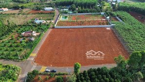 chính chủ cần bán 5 lô đất sào đường nhựa long phước, quy hoạch đất ở sổ hồng chính chủ 1000m2