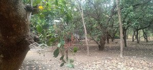 bán 496m2 (150m2 thổ cư) mặt tiền 10m đường rộng 5m lk kcn đồng xoài 2 và 3 giá 2.4 tỷ