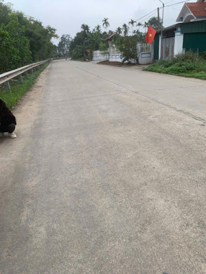 gần 2000m2 đất có sẵn thổ cư, mặt tiền đường, dân cư đông đúc, có tl
