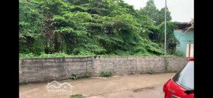 [chính chủ] bán mảnh đất 650.4m2 thịnh đán, cách mặt đường đường lê hữu trác 300m.
