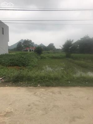 hàng fo tại chương mỹ giá nét đầu tư liên hệ e sớm