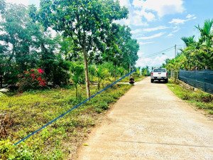 siêu phẩm view cánh đồng cư khin sẵn 400m2 thổ cư tặng 2 ao và nhà cấp 4 chỉ 2ty250tt