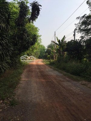 bán đất chính chủ 1170m2 tại tân định 01, bắc tân uyên, bình dương, giá ưu đãi chỉ với 2,1 tỷ vnd