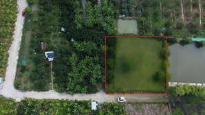 vườn bưởi da xanh tân triều view hồ - nghỉ dưỡng ven đô