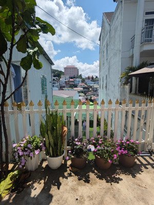 bán đất tặng nhà lương thế vinh, view rừng thông, giá 16,5 tỷ, 220m2